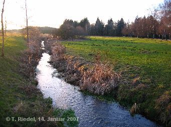 Spaziergang Isny - Rotmoos am 14. Januar 2007
